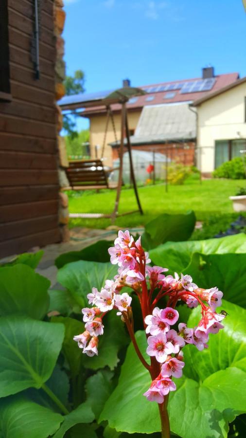 Vila Uosis Паланга Экстерьер фото